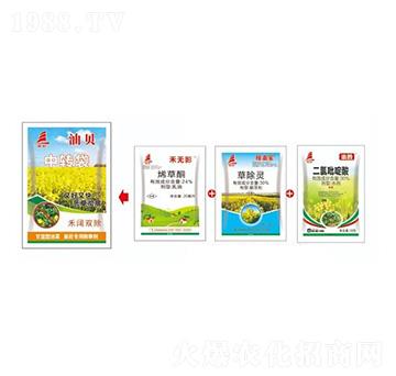 ���{���Ͳ�������ó��݄�-��ؐ-ϲ�S��