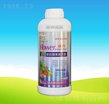 �������������-�n��ʘI(y��)