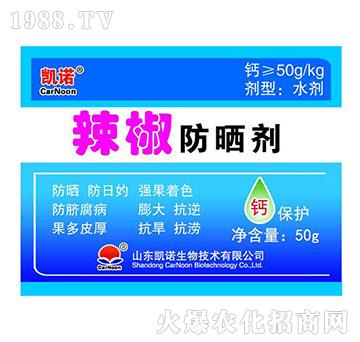 ��������-�P�Z����