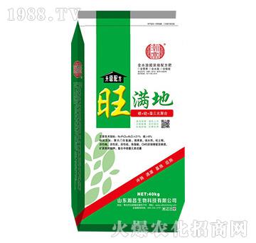 ���M��-嫲�����