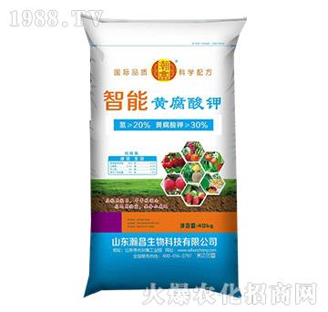 �����S�����-嫲�����