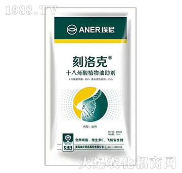 ʮ��ϩ��ֲ��������-��