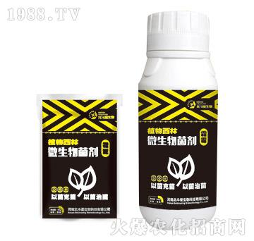 ˪ù��(zhu��n)��΢�������-ֲ������-������