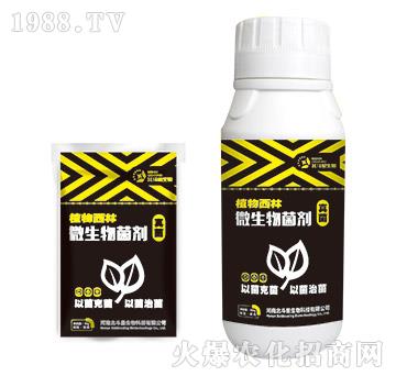 �����(zhu��n)��΢�������-ֲ������-������