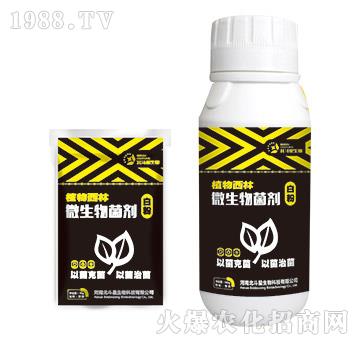 �׷ی�(zhu��n)��΢�������-ֲ������-������