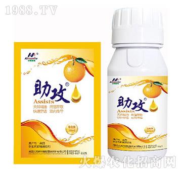 ����-��ķ˹��