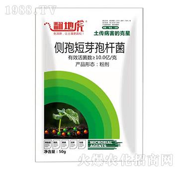 ��(c��)�߶�ѿ�ߗU��-���ػ�-�T�_