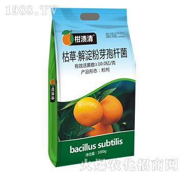 �ݲݡ������ѿ�ߗU��-�̝���-�T�_