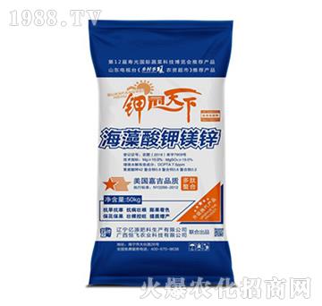 ��������V�\-⛹�����-���w�r(n��ng)�I(y��)