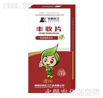 �S��Ƭ-�пƻ���