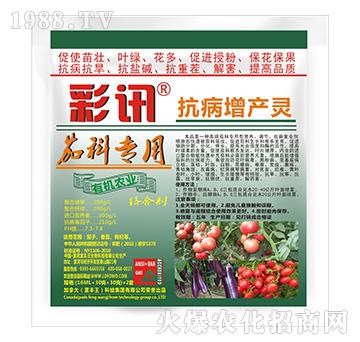 �ѿƌ��ÿ������a�`-��Ӎ-���S��