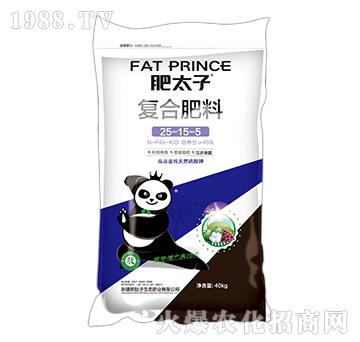 ��(f��)�Ϸ���25-15-5-��̫��