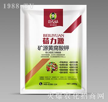 �VԴ�S�����-����Դ-�����