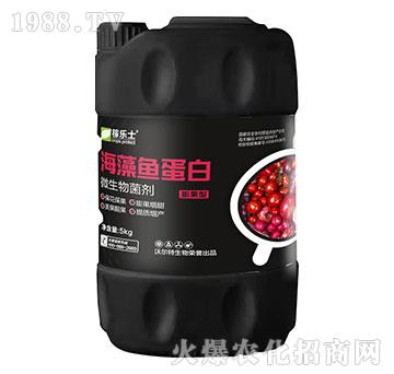 ����ͺ����~����-�ژ�(l��)ʿ