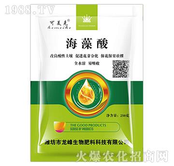 ������-��������