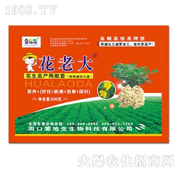 ���ϴ�-�۵���