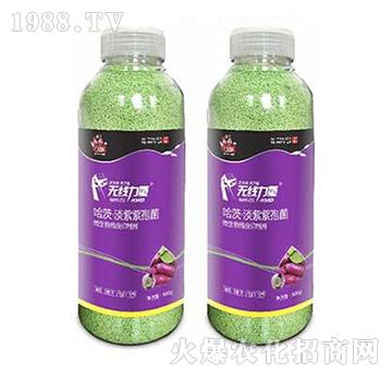 �o(w��)������-�����-���A����