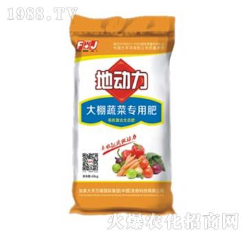 �����߲ˌ��÷�-�؄�(d��ng)��