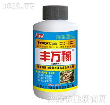 ���ی��àI(y��ng)�B(y��ng)Һ�B(t��i)��(f��)���{(di��o)