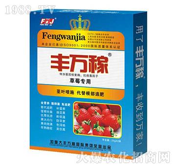 ��ݮ���÷�-�L(zh��ng)Ч������