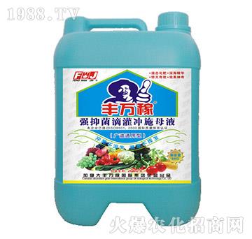 �V�Vͨ���͏�(qi��ng)�־��ι��_ʩĸҺ-�S�f(w��n)��