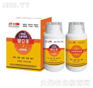 �����S�޻���N��-�S�f(w��n)��