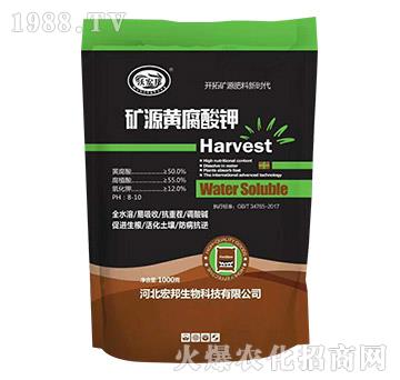 �VԴ�S�����-�ֺ��