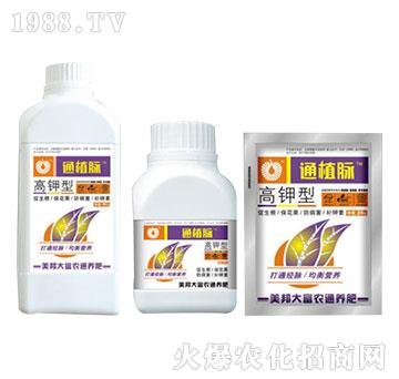 �����ֲͨ�}-����Ƽ�