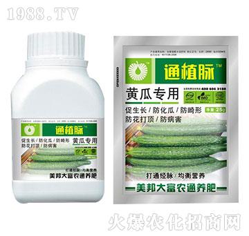 �S�ό�(zhu��n)�÷�-ֲͨ�}-����Ƽ�