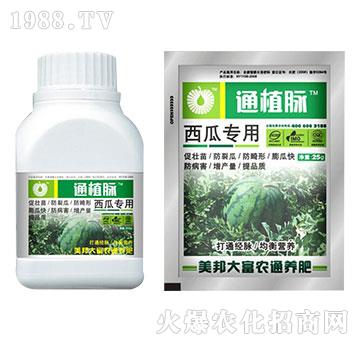 ���ό�(zhu��n)�÷�-ֲͨ�}-����Ƽ�