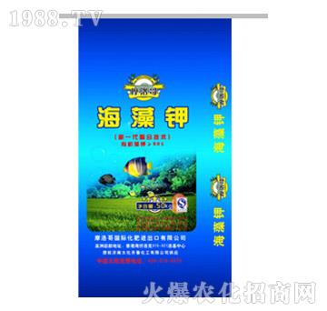 �����-Ħ���-���R