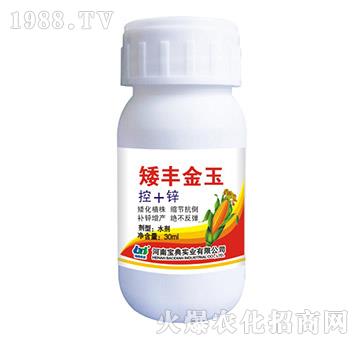 ���S����-���䌍�I(y��)