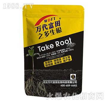 ������-�к�Ҽ��