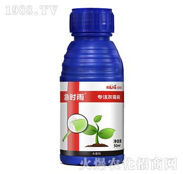 灰霉病專(zhuān)用殺菌劑-急時(shí)雨-中海潤(rùn)禾