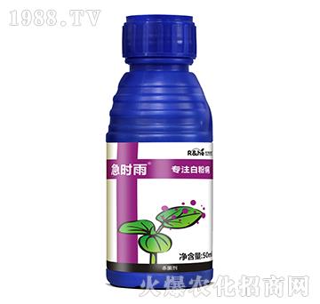 白粉病專用殺菌劑-急時(shí)雨-中海潤(rùn)禾