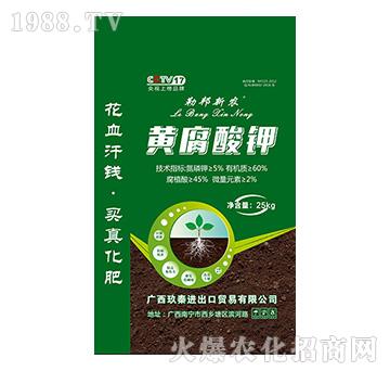 �S�����-�հ����r(n��ng)