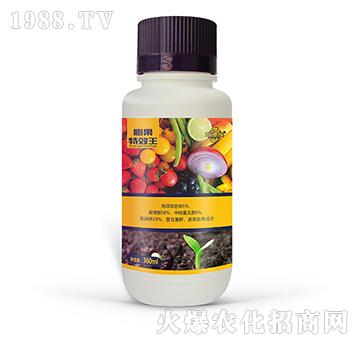 �����-�~�̷ʘI(y��)