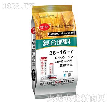 ������͏�(f��)�Ϸ���28-16-7-���(y��ng)