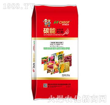 ̼��׷ʩ��-���w��-���r(n��ng)ʩ���S