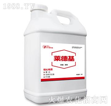 5L�R�»�-������