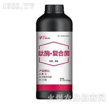 ��ø����(f��)�Ͼ�-������