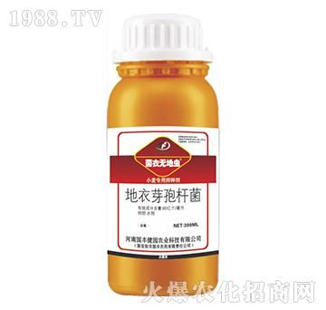 С�����ð�N��-���o(w��)���x-��(gu��)�S���@