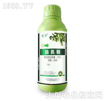 25%�j���~-���S���@