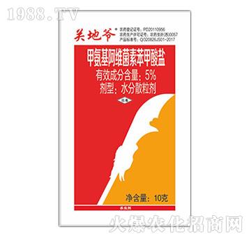 5%�װ������S���ر������}-�P�ؠ�-�p���r��