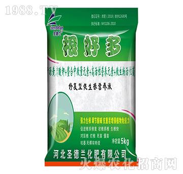 �������I(y��ng)�B(y��ng)Һ-���ö�-ʥ���m