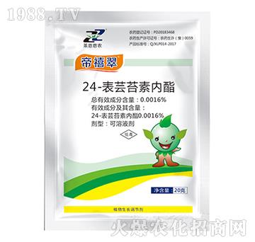 24-���|̦�؃�֬-������-�R�����r