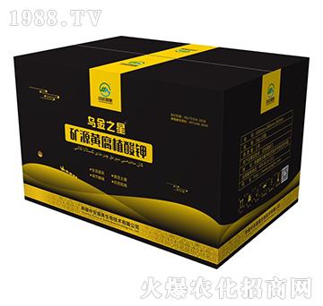 �VԴ�S��ֲ���-����֮��-�а���(gu��)��