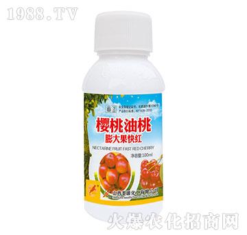 ��������������t-��Դ����