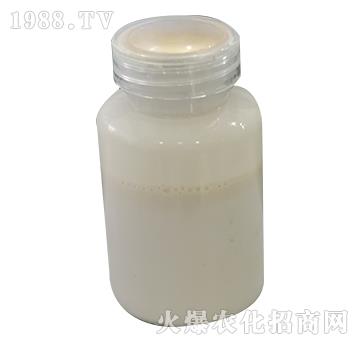 �~(y��)���}-���P����