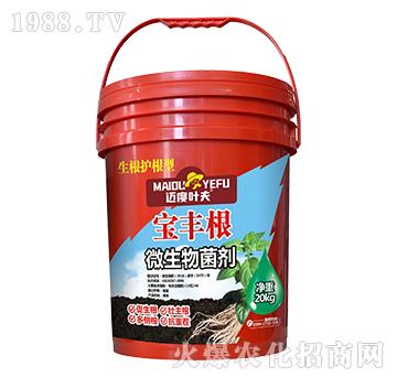 Ͱ�b�����o����΢�������-���S��-�~���~��